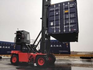 9 ตัน 9t ตัวจัดการภาชนะบรรจุที่ว่างข้างรถตัก ECH